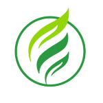 SOON Movement Global (KCCC USA) Website